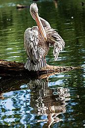 小岛秀夫发布2024年工作总结 多款游戏开发被迫停止